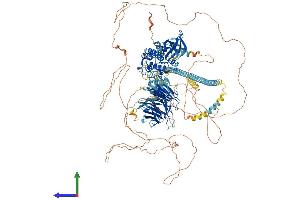 AlphaFold protein structure predicition of Mouse Recombinant Mink1 Protein, UniprotID Q9JM52