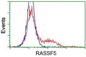 Image no. 1 for anti-Ras Association (RalGDS/AF-6) Domain Family Member 5 (RASSF5) antibody (ABIN1500614) (RASSF5 抗体)