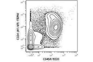 Flow Cytometry (FACS) image for anti-CD24 Molecule (CD24) antibody (ABIN2664425) (CD24 抗体)
