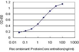 ELISA image for anti-Formiminotransferase Cyclodeaminase (FTCD) (AA 440-541) antibody (ABIN564712)