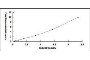 Typical standard curve (Cytokeratin 7 ELISA 试剂盒)