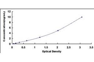 Typical standard curve (Fusion (FUS) ELISA 试剂盒)