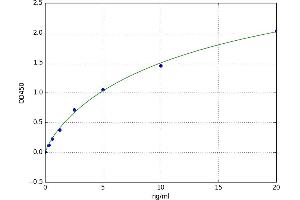 Aquaporin 3 (Gill Blood Group) (AQP3) ELISA Kit