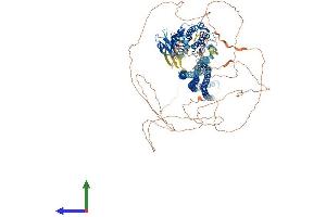 Protein Structure (PS) image for STE20-Like Kinase (SLK) (AA 1-1233) protein (His tag) (ABIN7562462)