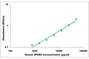 Representative Standard Curve (SPARC ELISA 试剂盒)