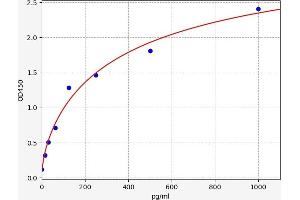 ELISA image for Tumor Necrosis Factor (Ligand) Superfamily, Member 10 (TNFSF10) ELISA Kit (ABIN6970931)