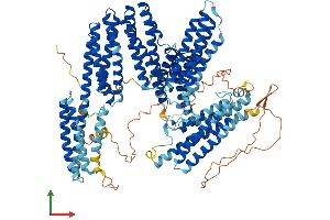Protein Structure (PS) image for Catenin (Cadherin-Associated Protein), alpha 2 (CTNNA2) (AA 1-953) protein (His tag) (ABIN7553575)