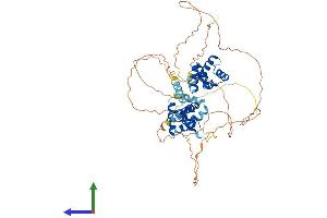 Protein Structure (PS) image for NGFI-A Binding Protein 2 (EGR1 Binding Protein 2) (NAB2) (AA 1-525) protein (His tag) (ABIN7557669)