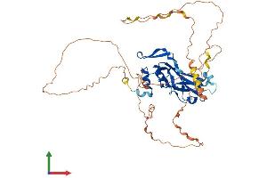 Protein Structure (PS) image for T-Box 1 (TBX1) (AA 1-479) protein (His tag) (ABIN7556694)