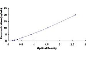 Typical standard curve (EOMES ELISA 试剂盒)