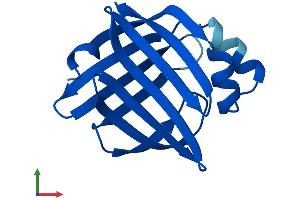 AlphaFold protein structure predicition of Human Recombinant FABP9 Protein, UniprotID Q0Z7S8