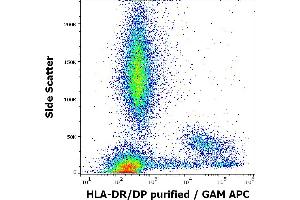 Flow cytometry surface staining pattern of human peripheral whole blood stained using anti-human HLA-DR/DP (MEM-136) purified antibody (concentration in sample 4 μg/mL) GAM APC. (HLA-DP/DR 抗体)