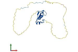 AlphaFold protein structure predicition of Human Recombinant RNF4 Protein, UniprotID P78317 (RNF4 Protein (AA 1-190) (His tag))