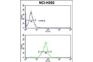 TOB1 Antibody (N-term) (ABIN652511 and ABIN2842342) flow cytometric analysis of NCI- cells (bottom histogram) compared to a negative control cell (top histogram). (Protein Tob1 (TOB1) (AA 54-83), (N-Term) 抗体)
