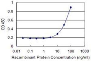 Detection limit for recombinant GST tagged HOXB9 is 1 ng/ml as a capture antibody. (HOXB9 抗体  (AA 65-163))