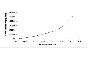 Typical standard curve (CCR2 ELISA 试剂盒)