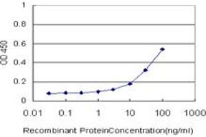 Detection limit for recombinant GST tagged FLJ31951 is approximately 1ng/ml as a capture antibody. (RNF145 抗体  (AA 592-691))