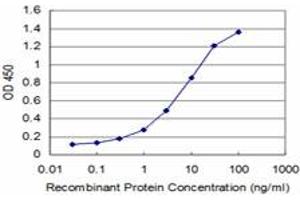 Detection limit for recombinant GST tagged DSU is approximately 0. (MREG 抗体  (AA 1-214))