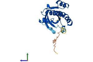 Protein Structure (PS) image for RAB1B, Member RAS Oncogene Family (RAB1B) (AA 1-201) protein (His tag) (ABIN7551225)
