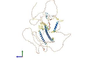 Protein Structure (PS) image for Ring Finger Protein 169 (RNF169) (AA 1-694) protein (His tag) (ABIN7562135)