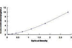 ELISA image for RAD50 Homolog (S. Cerevisiae) (RAD50) ELISA Kit (ABIN1383608)