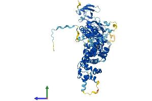Protein Structure (PS) image for Engulfment and Cell Motility 1 (ELMO1) (AA 1-727) protein (His tag) (ABIN7553764)