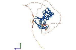 Protein Structure (PS) image for Transcription Factor Dp-1 (TFDP1) (AA 1-410) protein (His tag) (ABIN7544279)