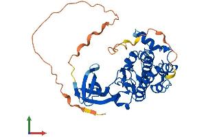 Protein Structure (PS) image for Tribbles Pseudokinase 2 (TRIB2) (AA 1-343) protein (His tag) (ABIN7544724)