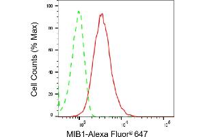 Flow cytometric analysis of MIB1 expression in HepG2 cells using MIB1 antibody (ABIN7799413), 1:2,000). (Recombinant MIB1 抗体)