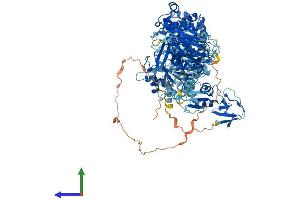 AlphaFold protein structure predicition of Human Recombinant MYO1F Protein, UniprotID O00160