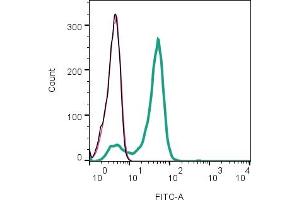 Cell surface detection of Tetraspanin 2 (TSPAN2) by indirect flow cytometry in live intact mouse  microglia cell line: + goat-anti-rabbit-FITC. (Tetraspanin 2 抗体  (Extracellular))