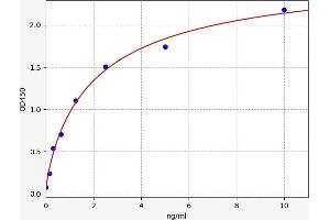 Serotonin Receptor 1A ELISA 试剂盒