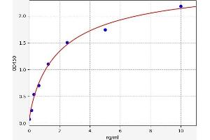 Typical standard curve (Serotonin Receptor 1A ELISA 试剂盒)