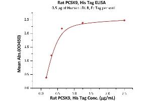 ELISA image for Proprotein Convertase Subtilisin/kexin Type 9 (PCSK9) (AA 31-691) (Active) protein (His tag) (ABIN2181592)