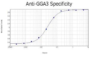 ELISA image for anti-Golgi-Associated, gamma Adaptin Ear Containing, ARF Binding Protein 3 (GGA3) (AA 400-425) antibody (ABIN129660)