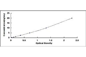 Typical standard curve (EIF3G ELISA 试剂盒)