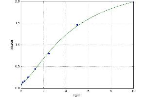 A typical standard curve (SPAG9 ELISA 试剂盒)