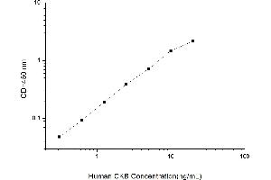 Typical standard curve (CKB ELISA 试剂盒)