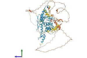 Protein Structure (PS) image for Zinc Finger Protein 202 (ZNF202) (AA 1-648) protein (His tag) (ABIN7556153)