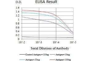 Black line: Control Antigen (100 ng),Purple line: Antigen (10 ng), Blue line: Antigen (50 ng), Red line:Antigen (100 ng) (JAG1 抗体  (AA 47-212))