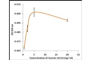 Activity Assay (AcA) image for Fibroblast Growth Factor 16 (FGF16) (Active) protein (ABIN5509484) (FGF16 蛋白)