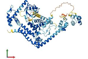 Protein Structure (PS) image for Negative Regulator of Ubiquitin-Like Proteins 1 (NUB1) (AA 1-614) protein (His tag) (ABIN7556167)