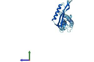 Protein Structure (PS) image for Potassium Large Conductance Calcium-Activated Channel, Subfamily M, beta Member 2 (KCNMB2) (AA 1-235) protein (His tag) (ABIN7560795)