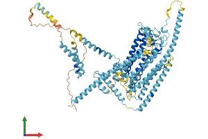 AlphaFold protein structure predicition of Mouse Recombinant Tmc1 Protein, UniprotID Q8R4P5