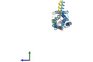 Protein Structure (PS) image for Sphingosine-1-Phosphate Receptor 4 (S1PR4) (AA 1-386) protein (His tag) (ABIN7556349)