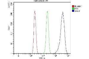 Flow Cytometry analysis of HL-60 cells using anti-TAB3 antibody (ABIN7602353).
