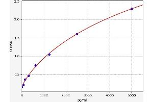Typical standard curve (Dickkopf-Like 1 (DKKL1) ELISA 试剂盒)