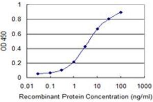 Detection limit for recombinant GST tagged PSAP is 0. (Prosaposin 抗体  (AA 1-524))