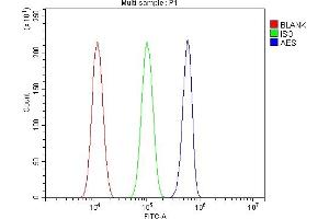 Flow Cytometry analysis of U87 cells using anti-AES antibody (ABIN6719264).