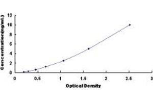 Typical standard curve (CELSR2 ELISA 试剂盒)